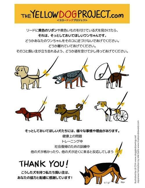 THE YELLOW DOG PROJECT