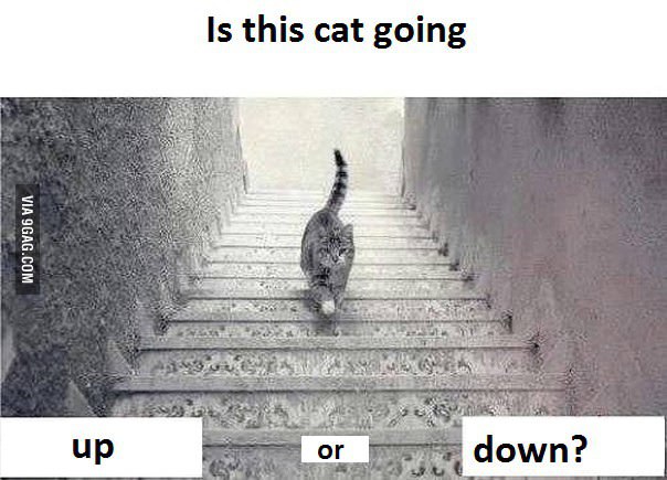 猫の階段錯覚