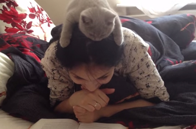 真剣に読書をする飼い主さんの頭の上で真剣に読書をする猫ちゃん