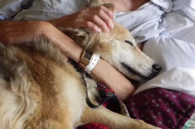 余命わずか、肺ガンのホームレスを支えた1匹の犬の感動のお話
