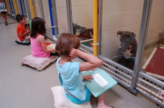 子供達がシェルターで暮らす犬たちに絵本を読みかせ！少しづつ心を開き興味を持つ！