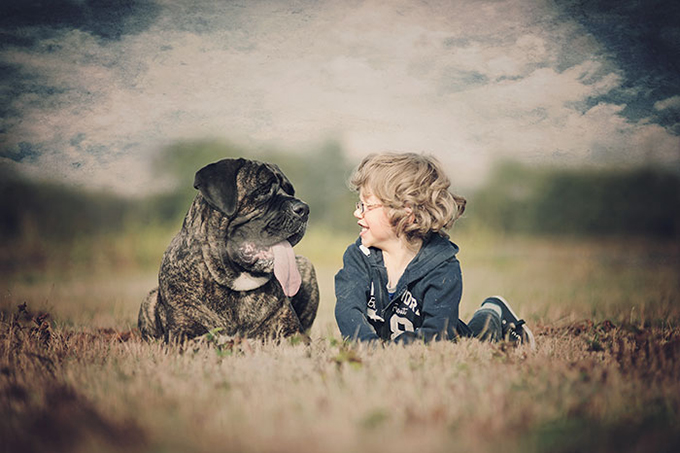 少年と保護犬の物語が写し出された画像が素敵すぎると話題に