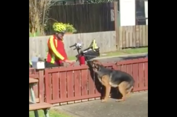 【動画】通りすがりの郵便局員に尻尾を振りスキンシップをとる話題の犬
