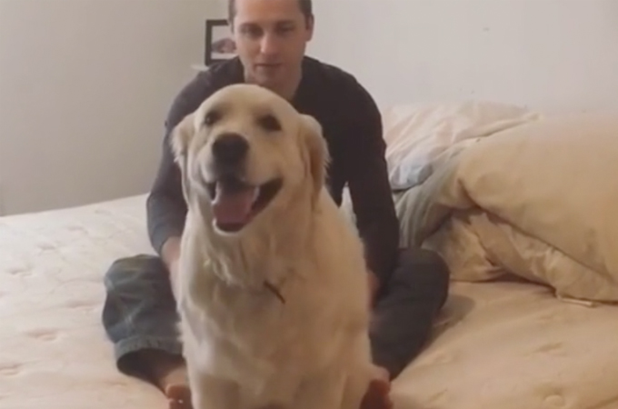 【動画】愛犬を呼ぶ飼い主さん。愛犬が振り向く代わりにとった行動とは？