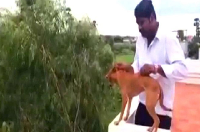 屋上から犬を放り投げた動画をSNSに投稿したインドの男性。世界中から非難の声