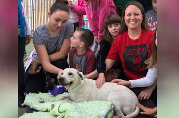 動物保護施設で暮らす孤独な犬たちのために贈られたサプライズプレゼントとは？