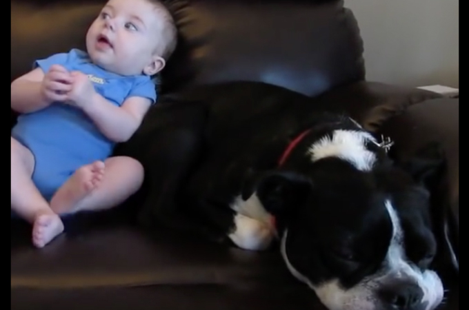 【動画】赤ちゃんのオナラにびっくりしたワンコがその場からダッシュ