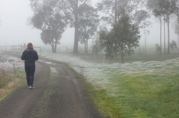 冬のオーストラリアに突然現れた真っ白い景色。雪や霜でもない、その正体とは！