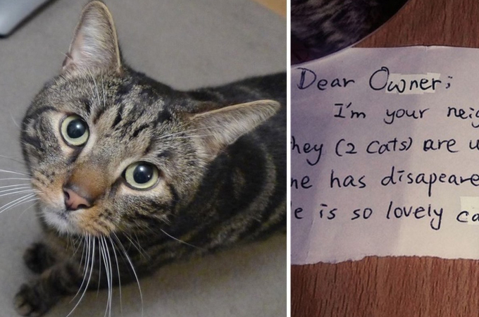 愛猫が急死してしまい悲しみに暮れていた飼い主さんに届いた1通の手紙。その内容に涙が止まらない
