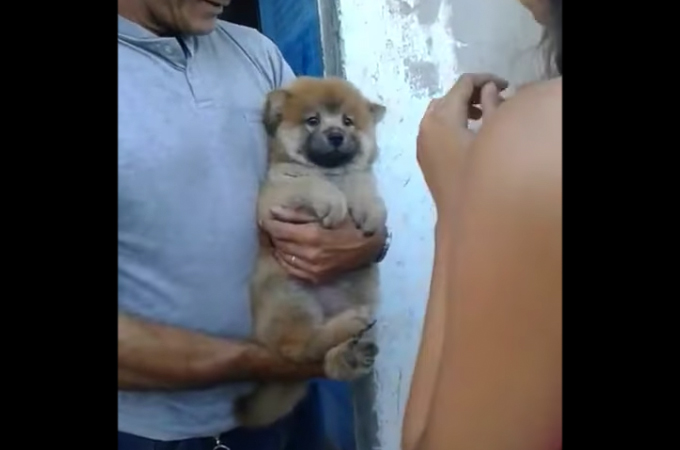可愛い子犬を抱こうとする女性。しかしそれを全力で嫌がる子犬。微笑ましい映像を撮影するはずが残念な結果に！