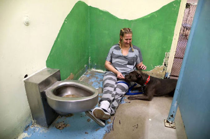 虐待や飼育放棄から保護された犬猫たちの新しい家となったのは刑務所？