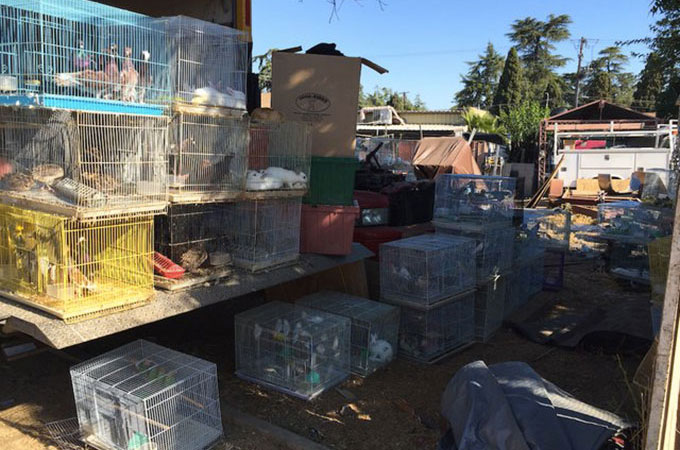 放置されたトラックの荷台からおよそ1000匹の動物たちが見つかる