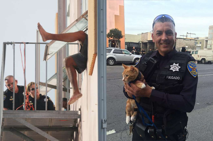 飛び降り自殺を図ろうとする男性。警察官が1匹の猫を連れて来て落ち着きを取り戻す。その理由とは