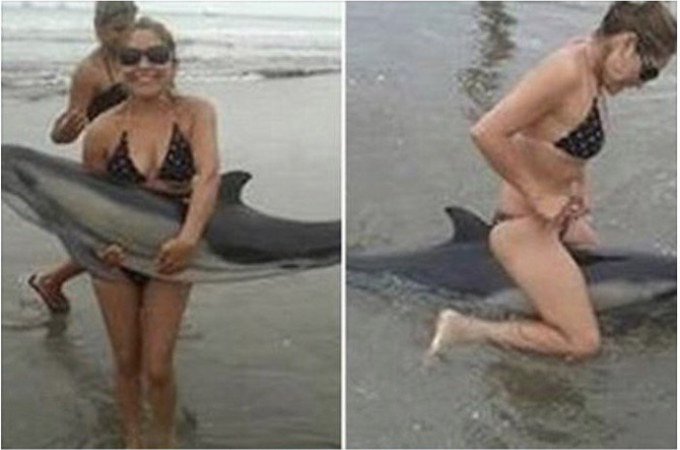 海岸に迷い込んだイルカの赤ちゃんが海水浴客らによって玩具にされその後、死亡した事件。その時の光景に胸が苦しくなる。