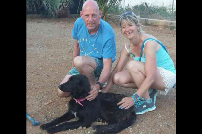 旅行先でボロボロの状態の野良犬に出会った夫妻。放って置くことができず保護し、その後、家族として幸せに暮らす。