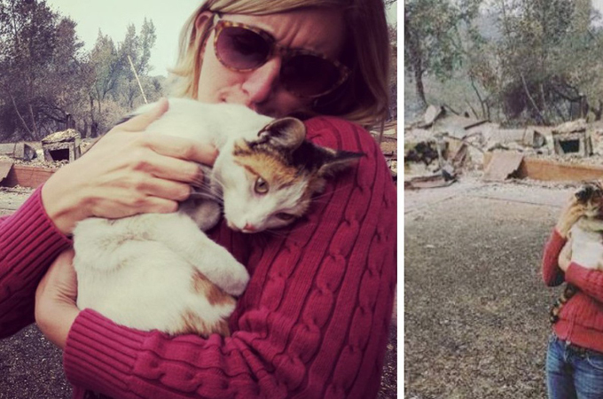 山火事で家を全焼した女性。愛猫を置いて避難するしかなかった家族が瓦礫の中で奇跡的に生き延びた愛猫と再会する。