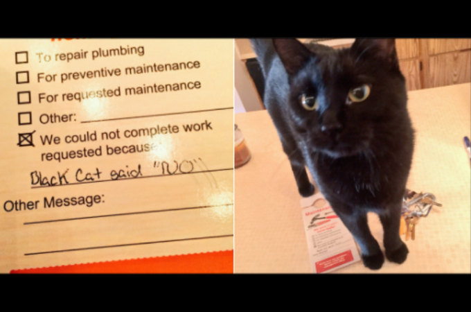 自宅のメンテナンスを業者に依頼した女性。作業後のメモに「黒猫が「NO」と言ったから仕事できませんでした」の文字が！