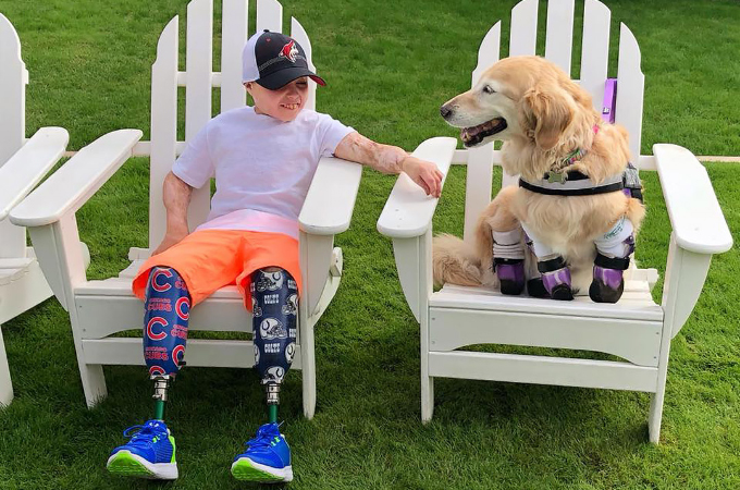 両脚を失った少年と、虐待により全ての脚を失った犬。少年の強い願いと、周りの協力もありふたりの出会いが実現する。
