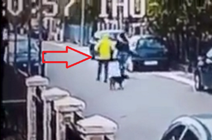 強盗に襲われている女性の叫び声を聞いて、すぐに襲撃にかかった犬。犯人はその後、逃走。