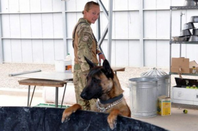 戦地で大勢を救ってきた軍用犬。任務が終わると安楽死させられることに。兵士らが犬を救うために請願書を提出する。