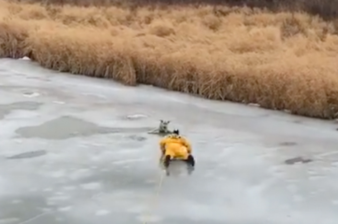 凍った川にはまった犬を助けに行く消防隊員。命の危険もある、彼らの勇姿に世界中から称賛の声。