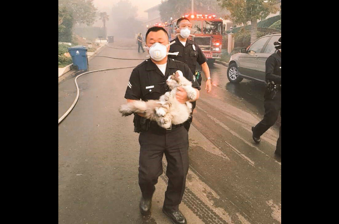 「誰かにとっては単なる猫。しかし、他の誰かにとっては、愛おしい相手」として救助にあたる消防士たち。
