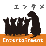 『ひまわりと子犬の７日間』Blu-ray&DVD 8/7日(水)発売！