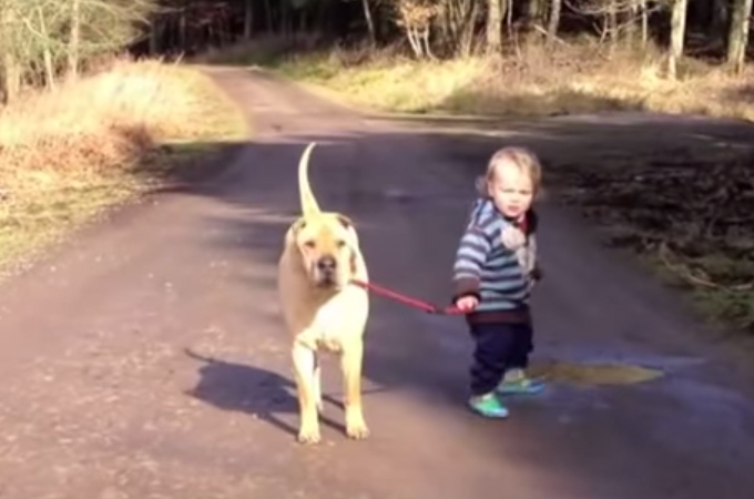 信頼関係が完全に出来上がっている赤ちゃんと犬の最強コンビ動画