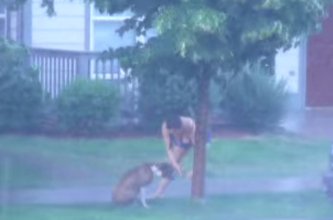 放っておけない！暴風雨の中、木につながれ置き去りにされた犬を救出するため隣人の女性がとった行動に感動