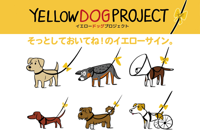黄色いリボンの犬は「そっと見守って」のサイン！日本にも広めたい「イエロードッグプロジェクト」