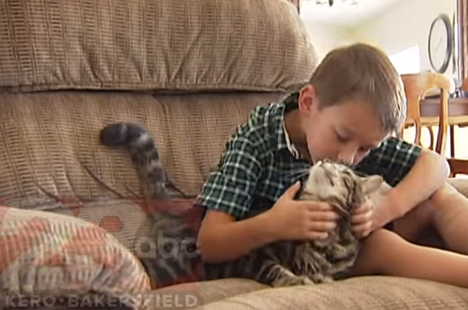 猛犬に噛みつかれた少年を救ったのは愛猫！その勇敢な姿に世界中から賞賛の声