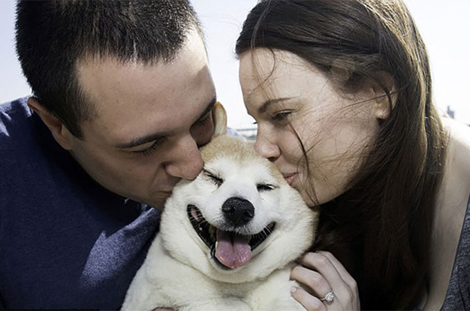 病気に負けず決して笑顔を絶やさない犬が結婚式でフラワーガールに