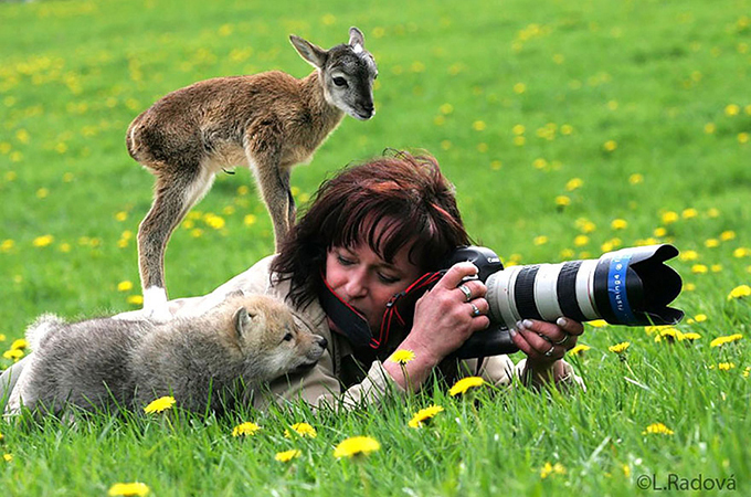 野生動物とカメラマンの決定的瞬間をとらえた心あたたまるステキな画像