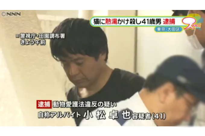 猫に熱湯…「１０匹くらい殺した」男逮捕(日本テレビ系（NNN）)