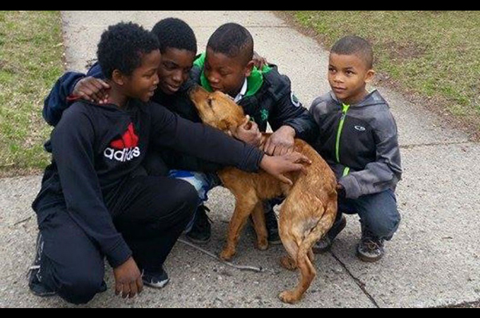 4人の少年が空き家にコードで結ばれ捨てられた1匹の犬を救い出す