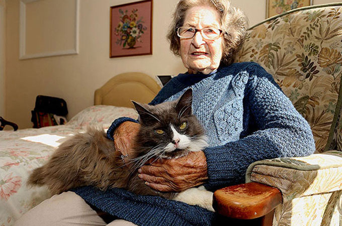 老人ホームへ入居した女性と離れ離れになった愛猫が奇跡の再会