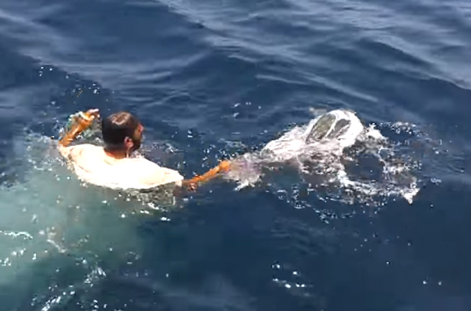 ゴミに絡まり、もがく1匹のカメ。見つけた男性が海に飛び込み救出