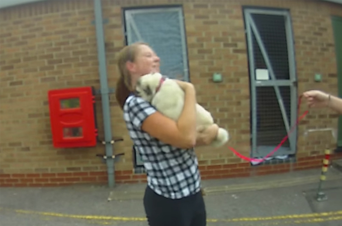 【動画】泥棒の被害に遭い愛犬を盗まれた女性。犯人が捕まり愛犬との再会を果たす