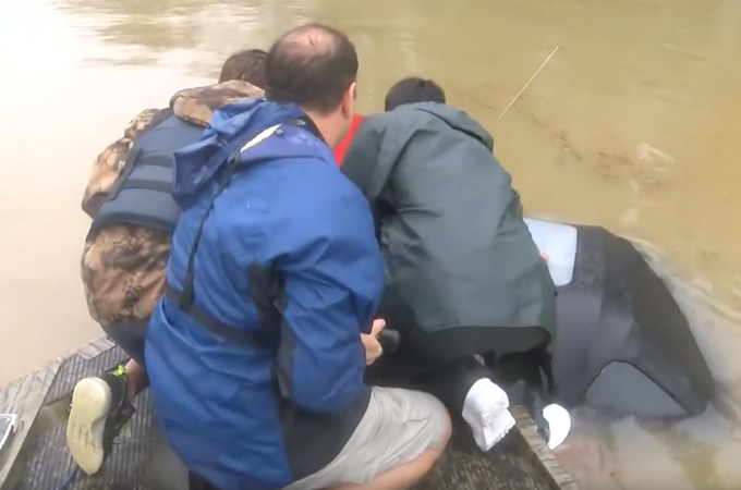 大洪水の影響で沈みゆく車から女性とその愛犬を救った男性