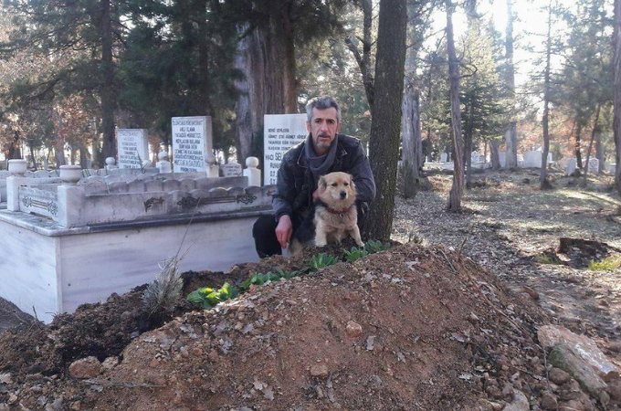 最愛の飼い主さんを亡くが葬儀に参列した犬。その後、毎日居なくなる犬の後をつけてわかった行き先とは