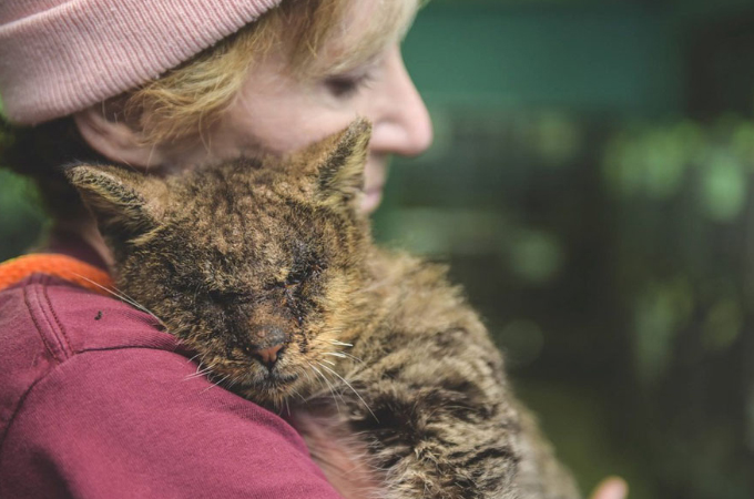 誰も触ろうとしない猫を優しく抱き上げる女性。そして、その猫の人生が大きく変わる