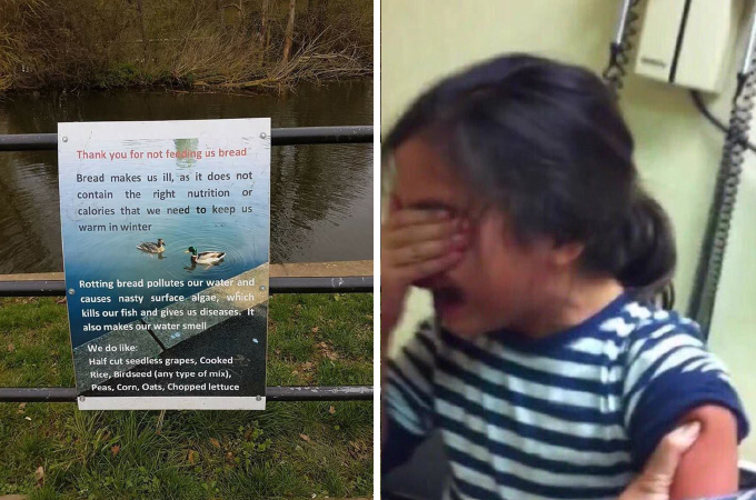 池の前の看板に書かれた文字とそれをみて涙する少女。その理由に世界中の人たちが衝撃を受ける。