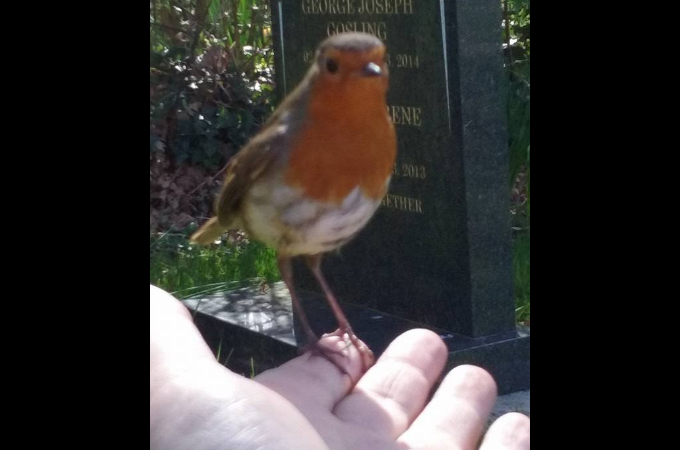 亡くなった息子のお墓で悲しみに暮れる母親のもとに現れた1羽の小鳥。その小鳥の行動に勇気づけられる