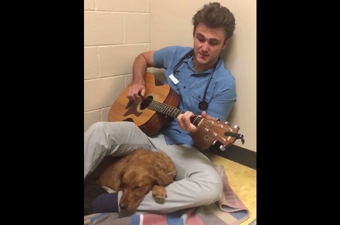 動物病院で手術を控え怖がる犬のために、ギターを取り出し歌を歌う獣医師。その結果、犬も落ち着きを取り戻す