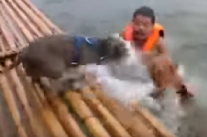 飼い主さんが溺れたと判断した救助犬2匹の犬たちが取った素晴らしい連携プレーがこちら。