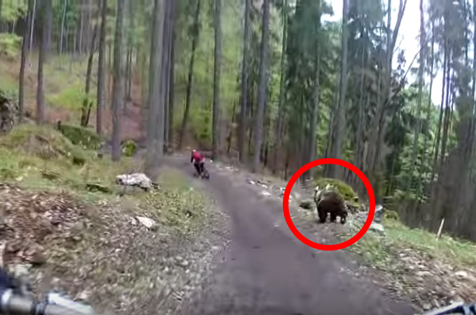 サイクリングをしている男性をクマが全速力で追いかける動画が公開から数日で再生数850万回を超える！