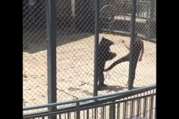 中国のサーカス団で動物虐待。演技をミスしたクマに殴る蹴るの暴行を加え避難が殺到。サーカス団は休演することに。