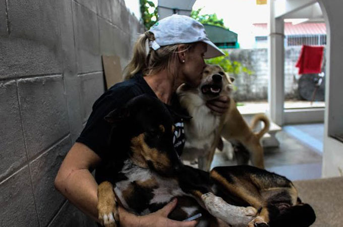 行くあてのないホームレス犬たちを救うため自らの人生を捧げた女性の行動力