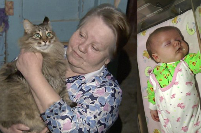 極寒のロシアの地下室に捨てられていた人間の赤ちゃんを救った野良猫。素晴らしいと賞賛の声が相次ぐ。