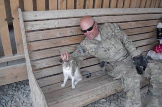 戦地で出会った1匹の野良猫と兵士。その後、お互いに大切な存在となり家族となる。
